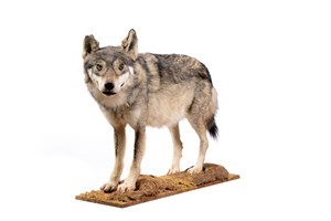 Image description is not available for 2012.1.2